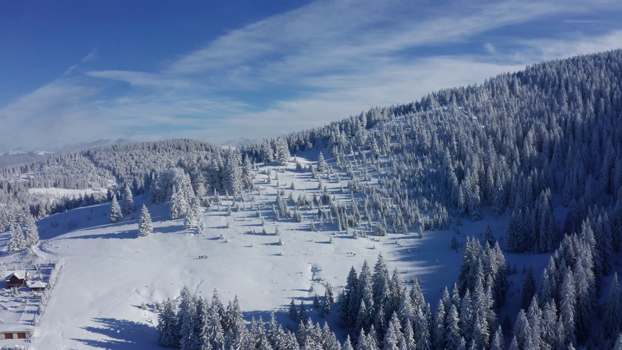 冬季鸟瞰布吉山，蓝天下白雪覆盖的松树视频素材