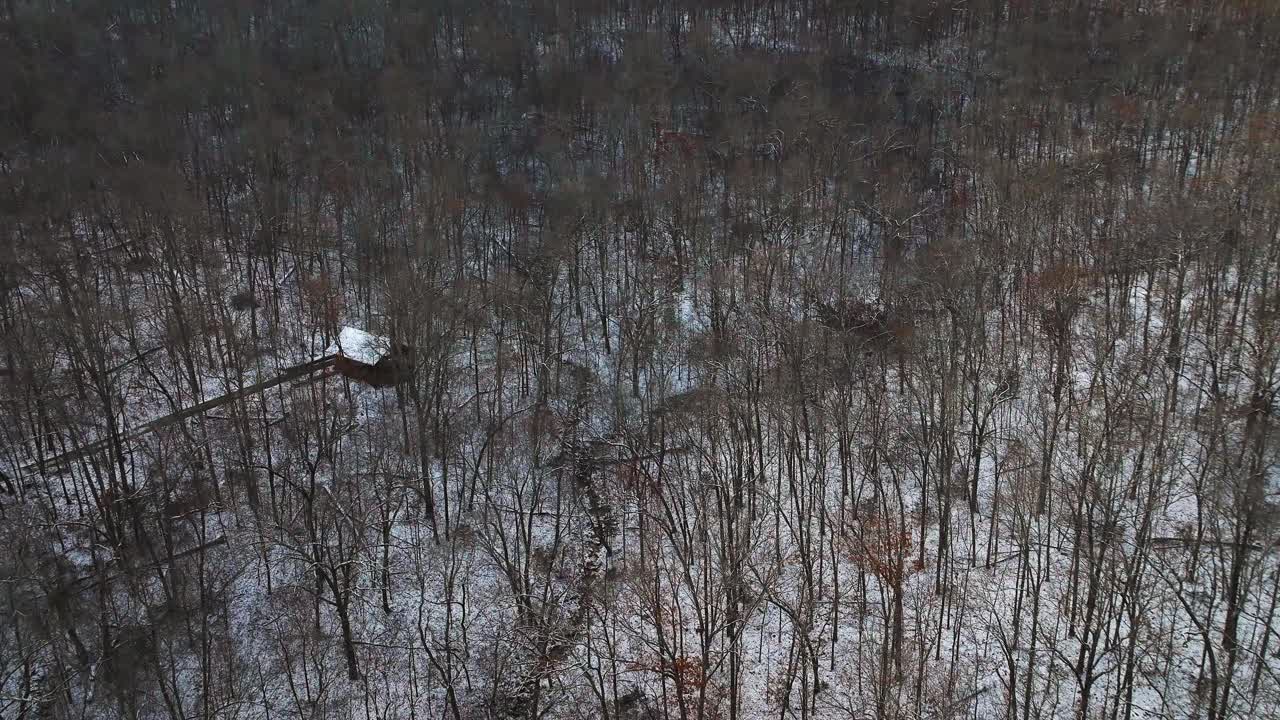 鸟瞰图，冰雪覆盖的阿肯色州红杉山，冬天光秃秃的树木和孤零零的小屋视频素材