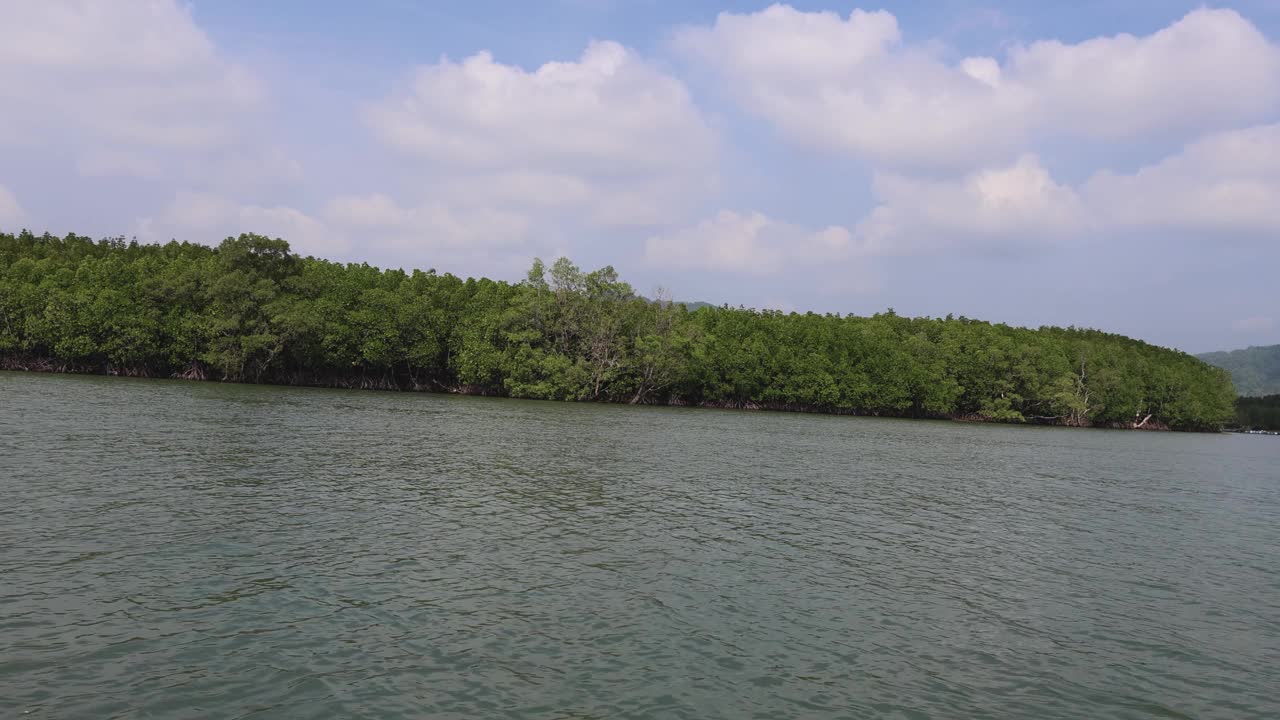 风景优美的红树林乘船之旅视频素材