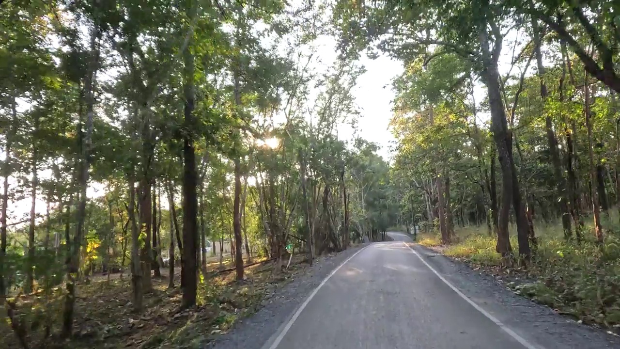 风景秀丽的森林公路之旅视频素材