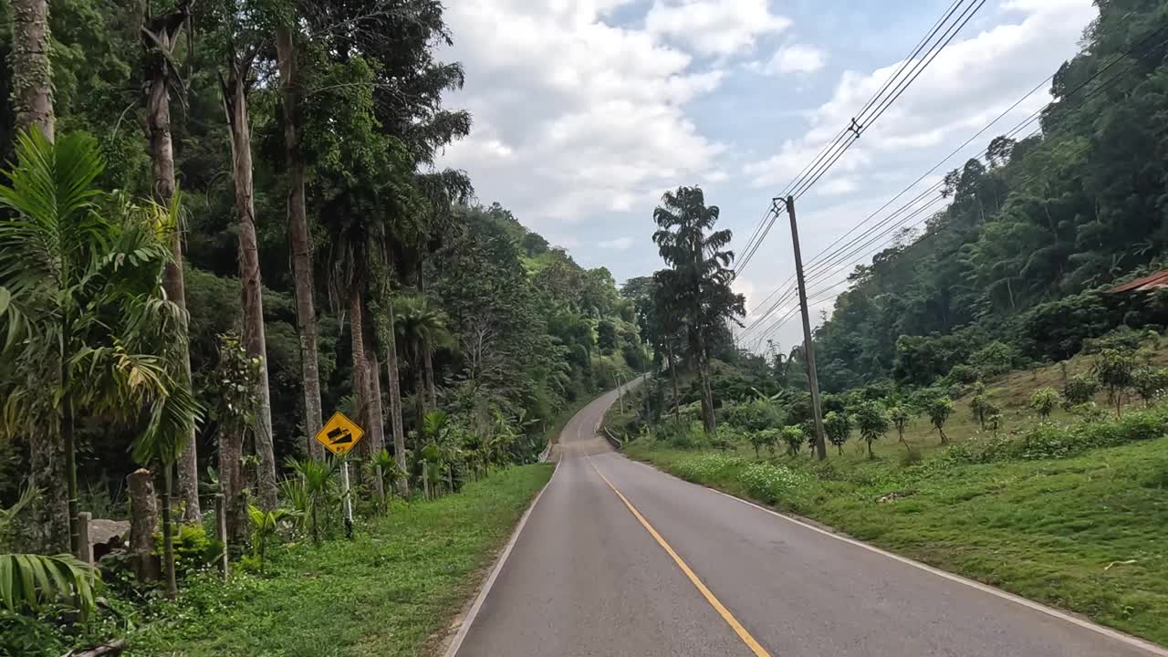 风景优美的公路旅行穿过郁郁葱葱的绿色植物视频素材