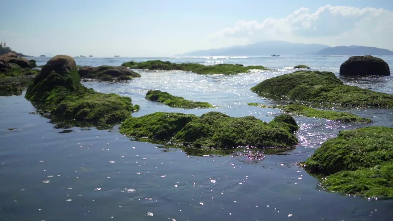 城市堤岸。视频下载