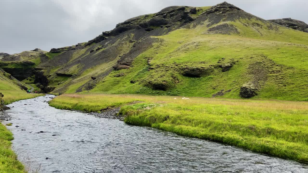 青翠的冰岛风景与河流流过Skógar山，阴天下视频素材