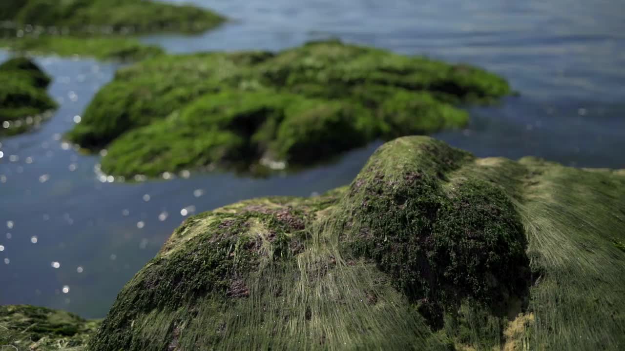 城市堤岸。视频素材