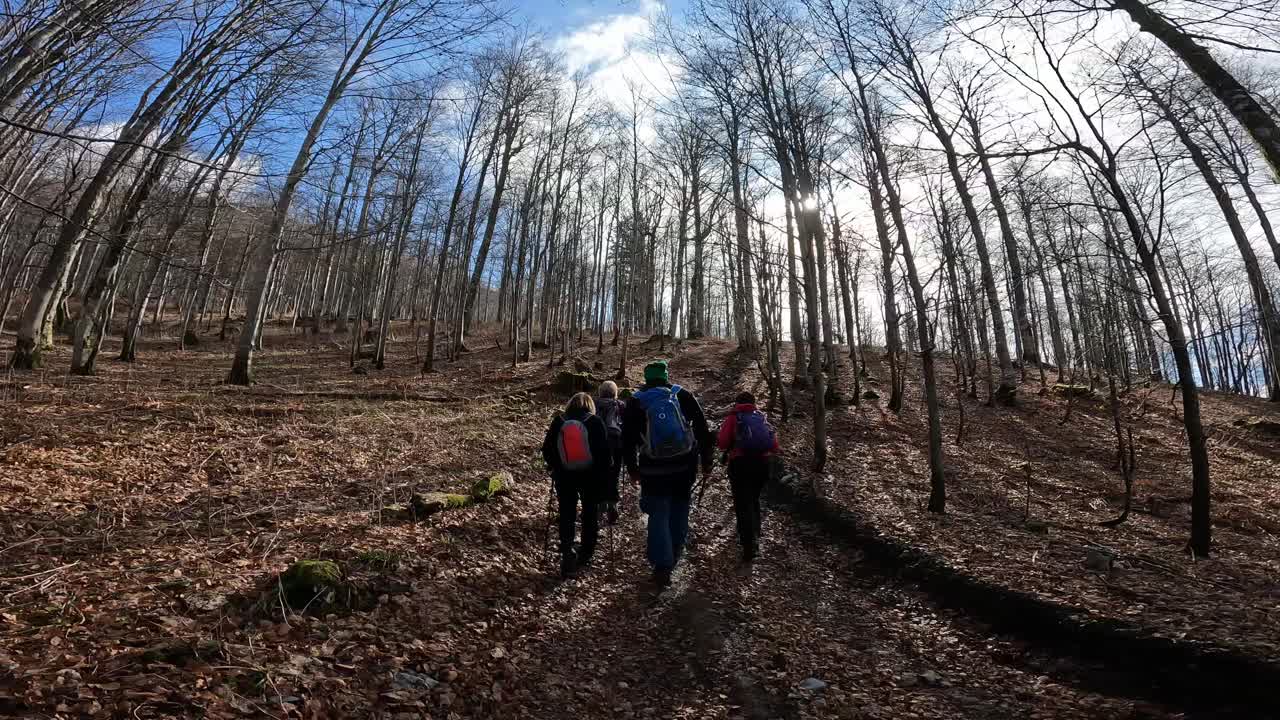 老年徒步旅行者在森林里视频下载