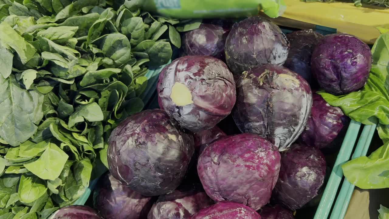 在市场上买蔬菜(洋葱、西葫芦、卷心菜、花椰菜、西兰花)视频素材