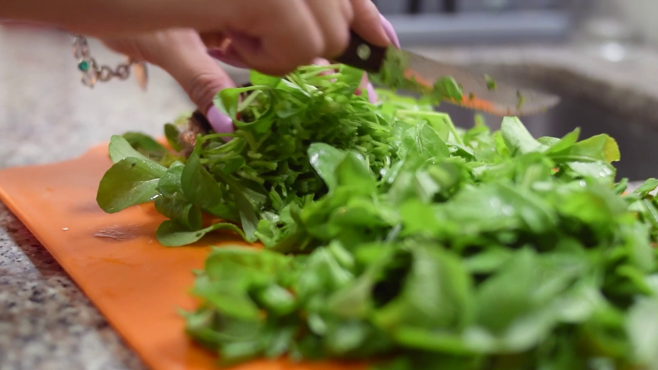 芝麻菜视频下载