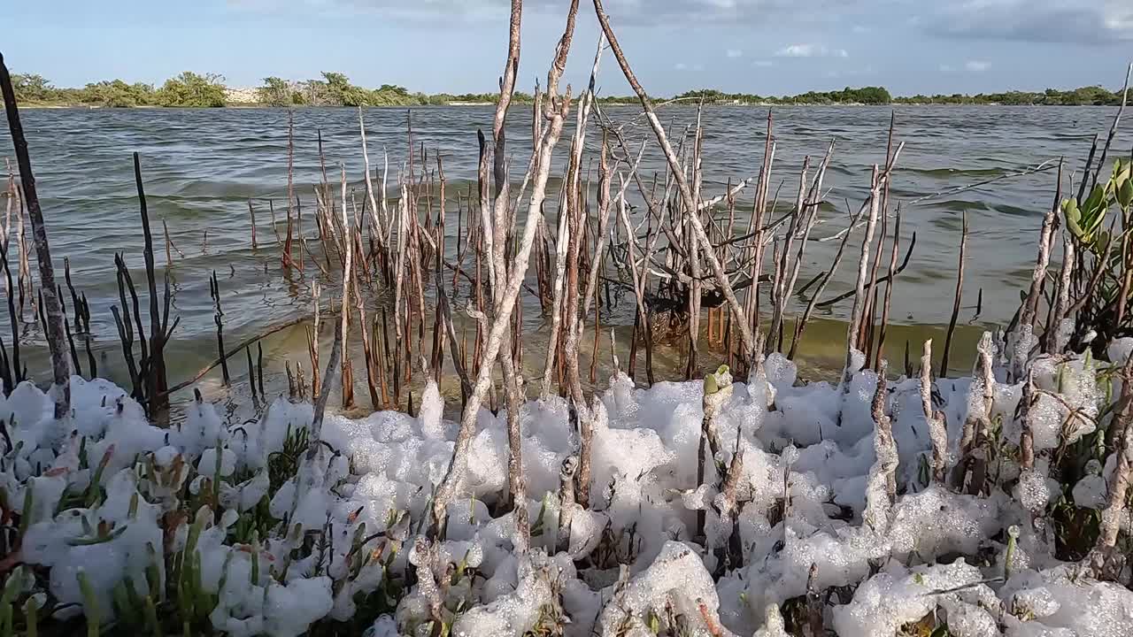 泡沫湖:木棒随波逐流视频下载