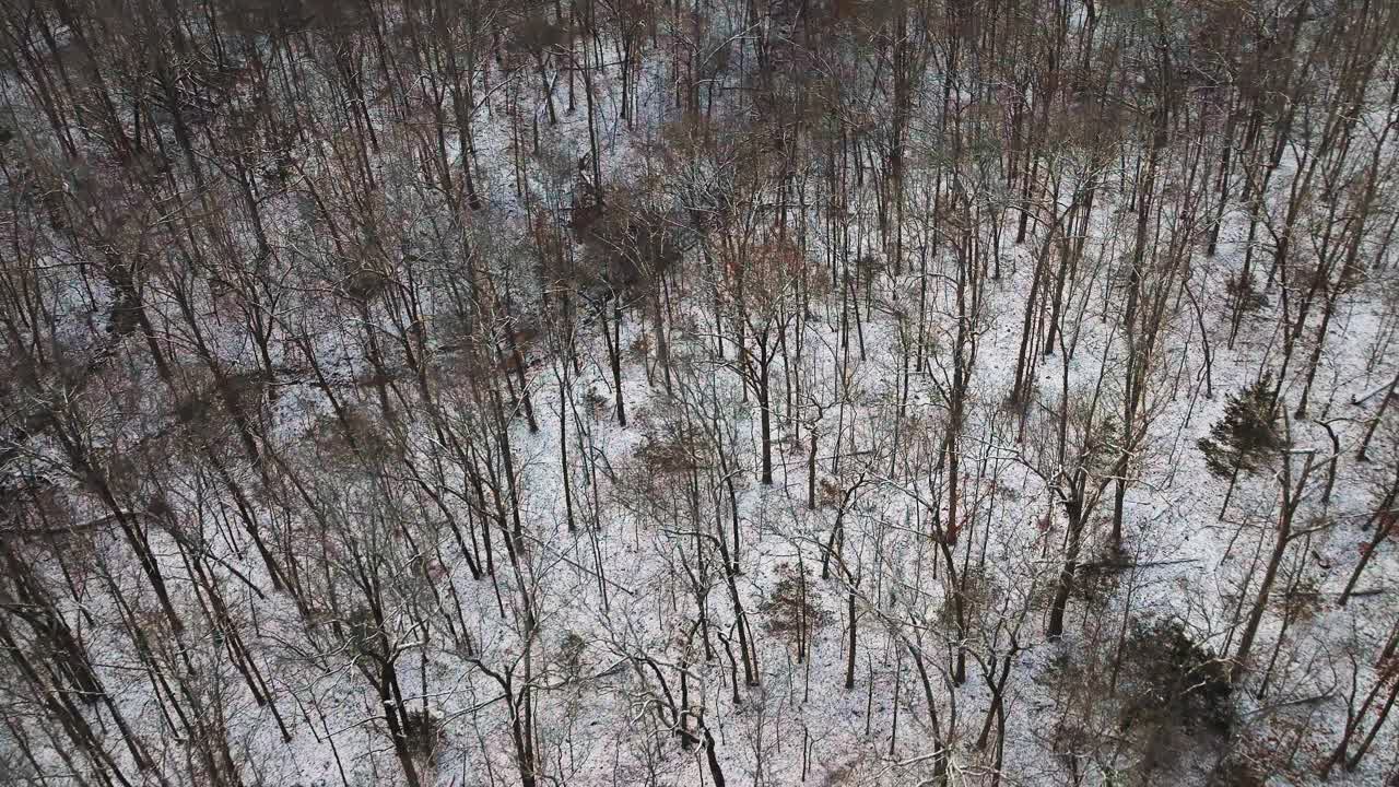 冬天被雪覆盖的山杉树，阿肯色州，没有人，宁静，鸟瞰视频素材