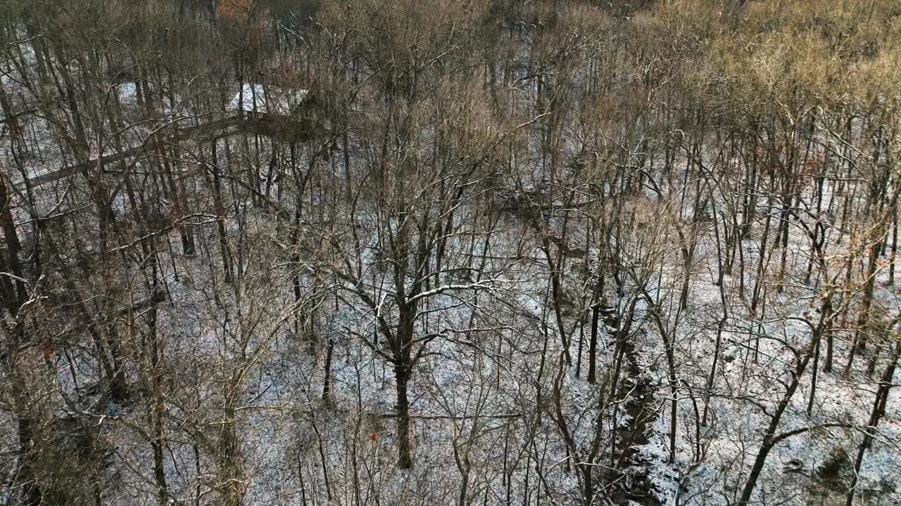 阿肯色州红杉山上积雪覆盖的树木，从高处俯瞰冬季景观视频素材