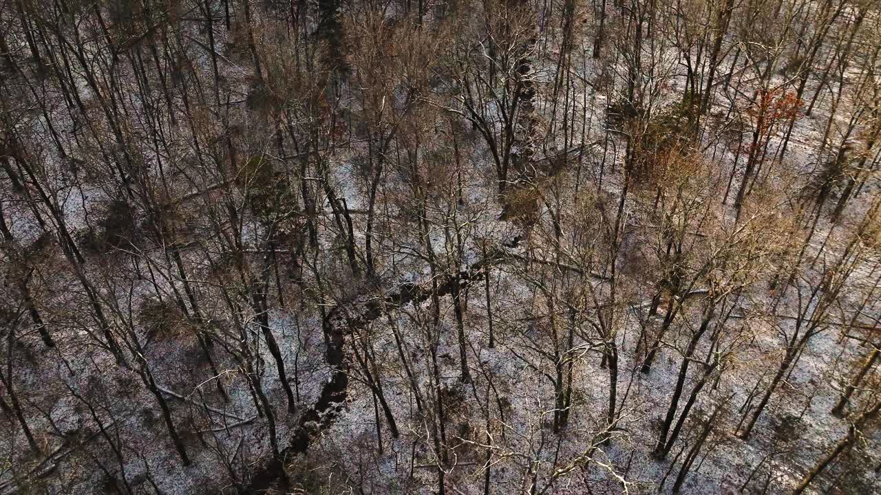 红杉山，阿肯色州，光秃秃的树木和冬天的小雪覆盖，无人机拍摄，鸟瞰图视频素材