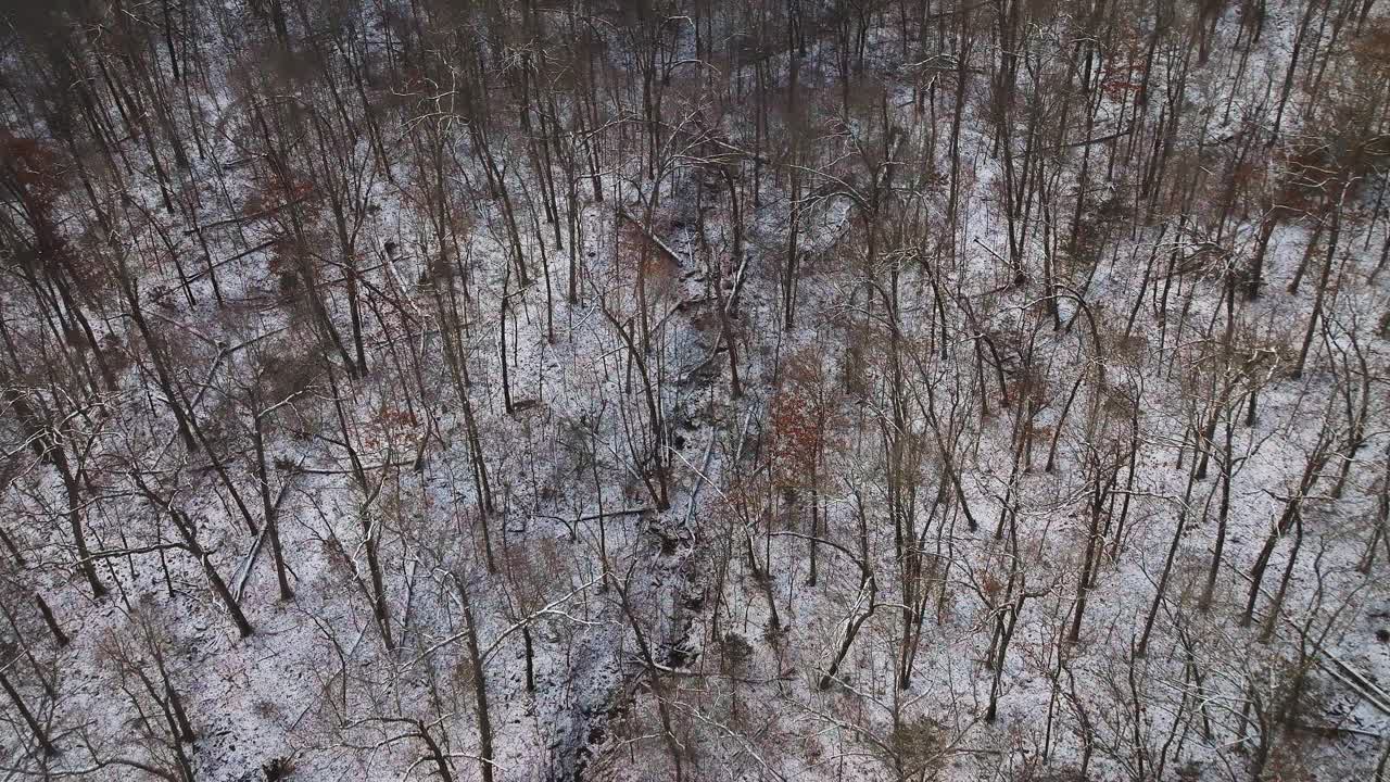 红杉山，阿肯色州，树木被雪覆盖，鸟瞰图视频素材