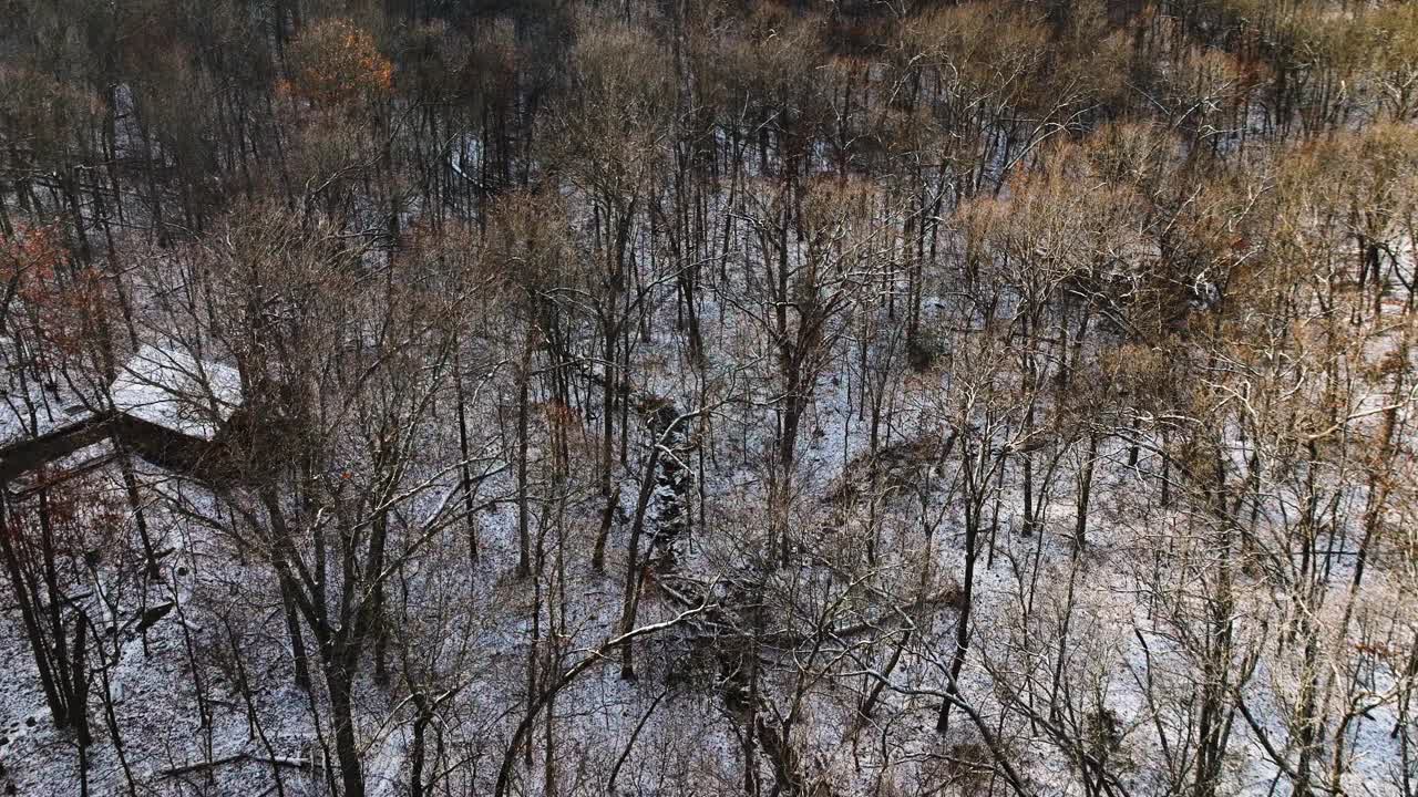 冬天，阿肯色州的红杉山，光秃秃的树木被雪覆盖，鸟瞰图视频素材