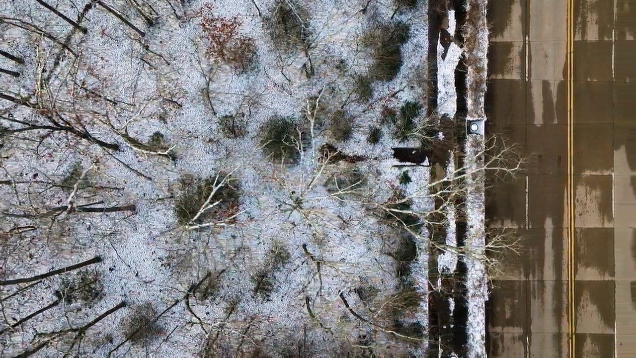 红杉山上积雪覆盖的树木，与道路相邻，鸟瞰图视频素材