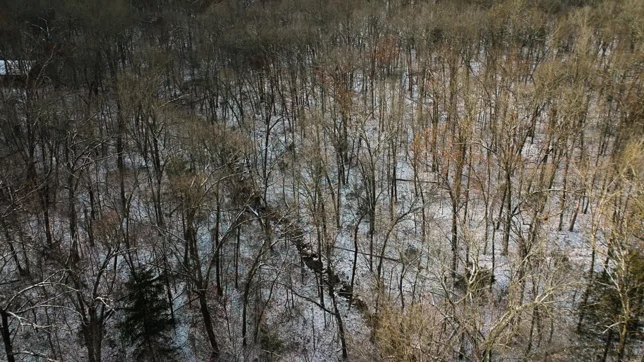 鸟瞰图:阿肯色州红杉山被雪覆盖的树木，冬天的触感视频素材