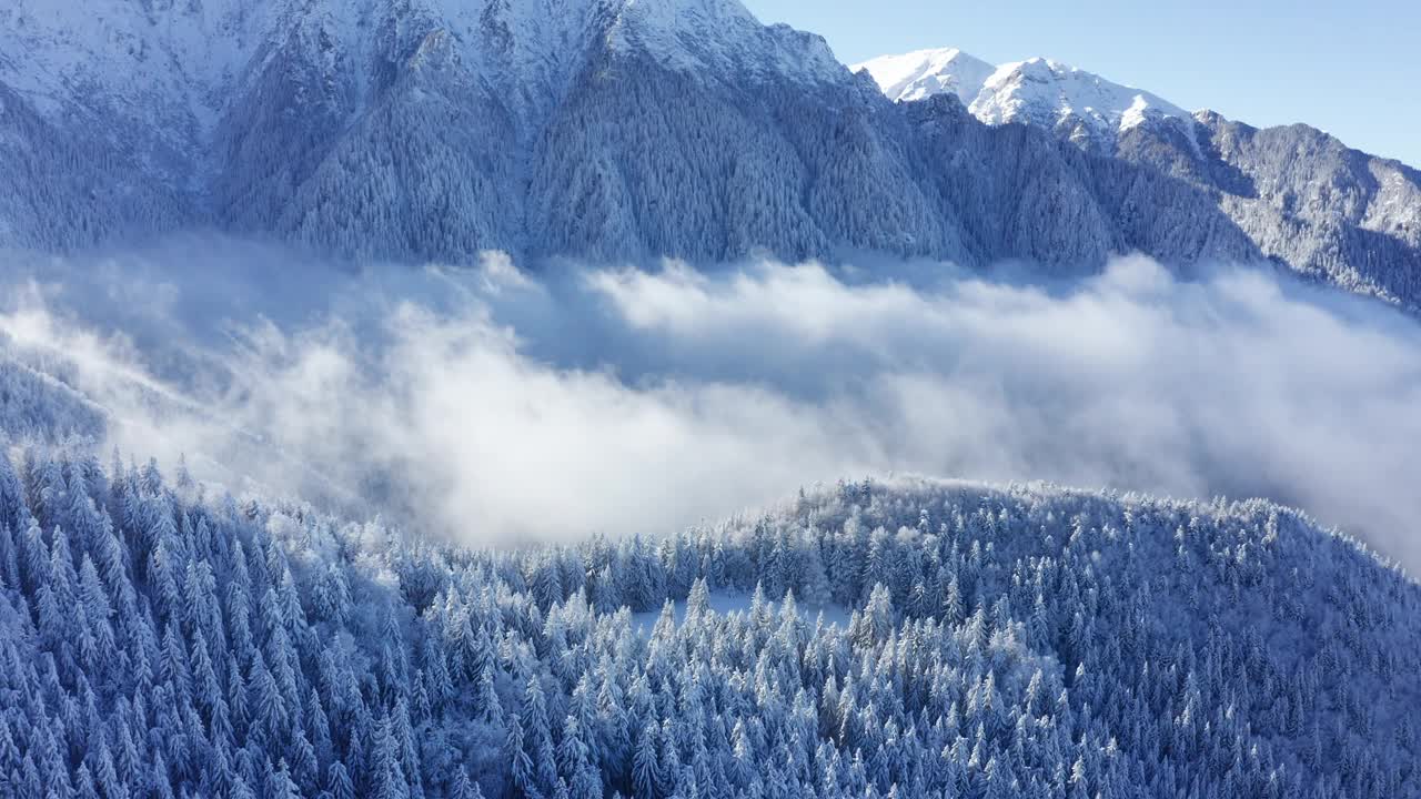 白雪皑皑的布歇山，布歇峰耸立在雾蒙蒙的森林之上视频素材