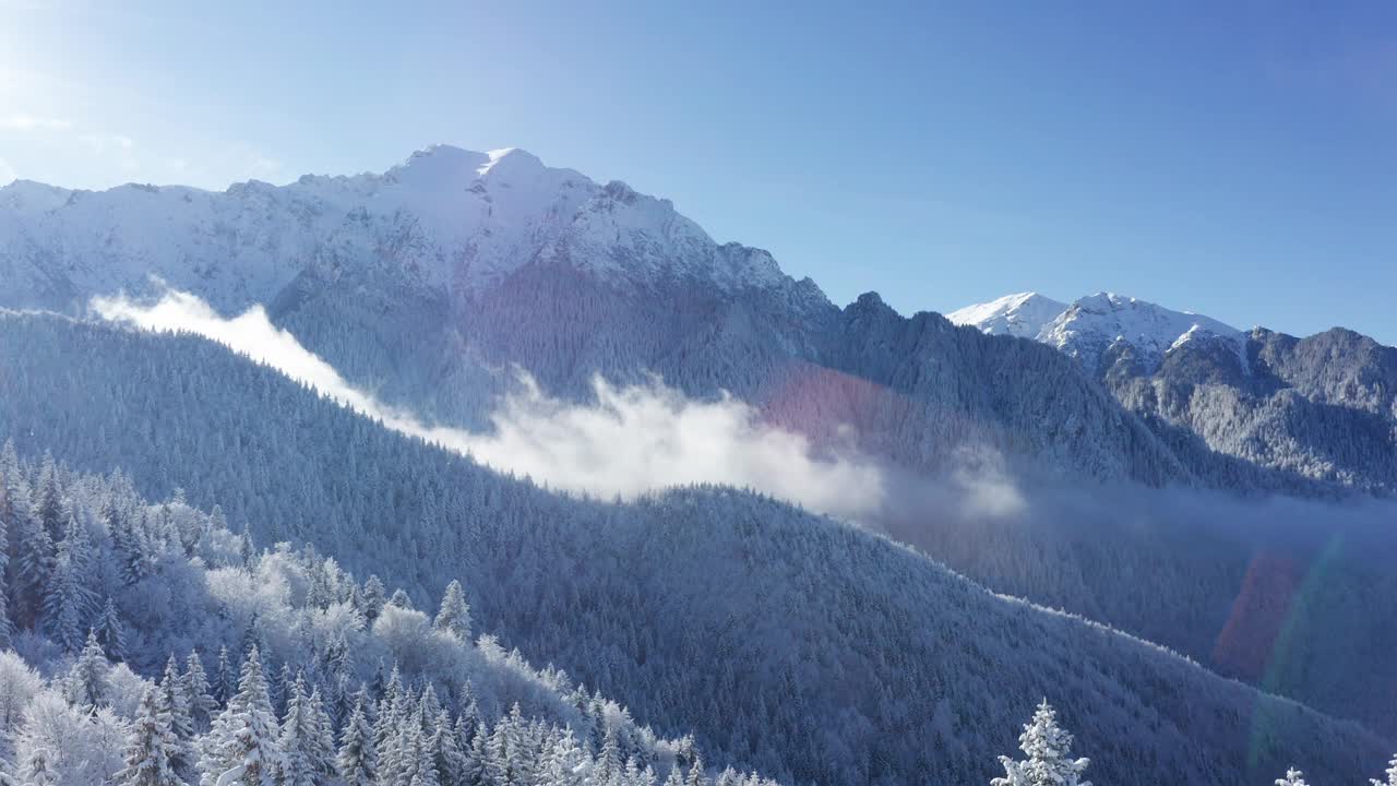 蓝天下雾蒙蒙的布吉山和白雪覆盖的松树视频素材