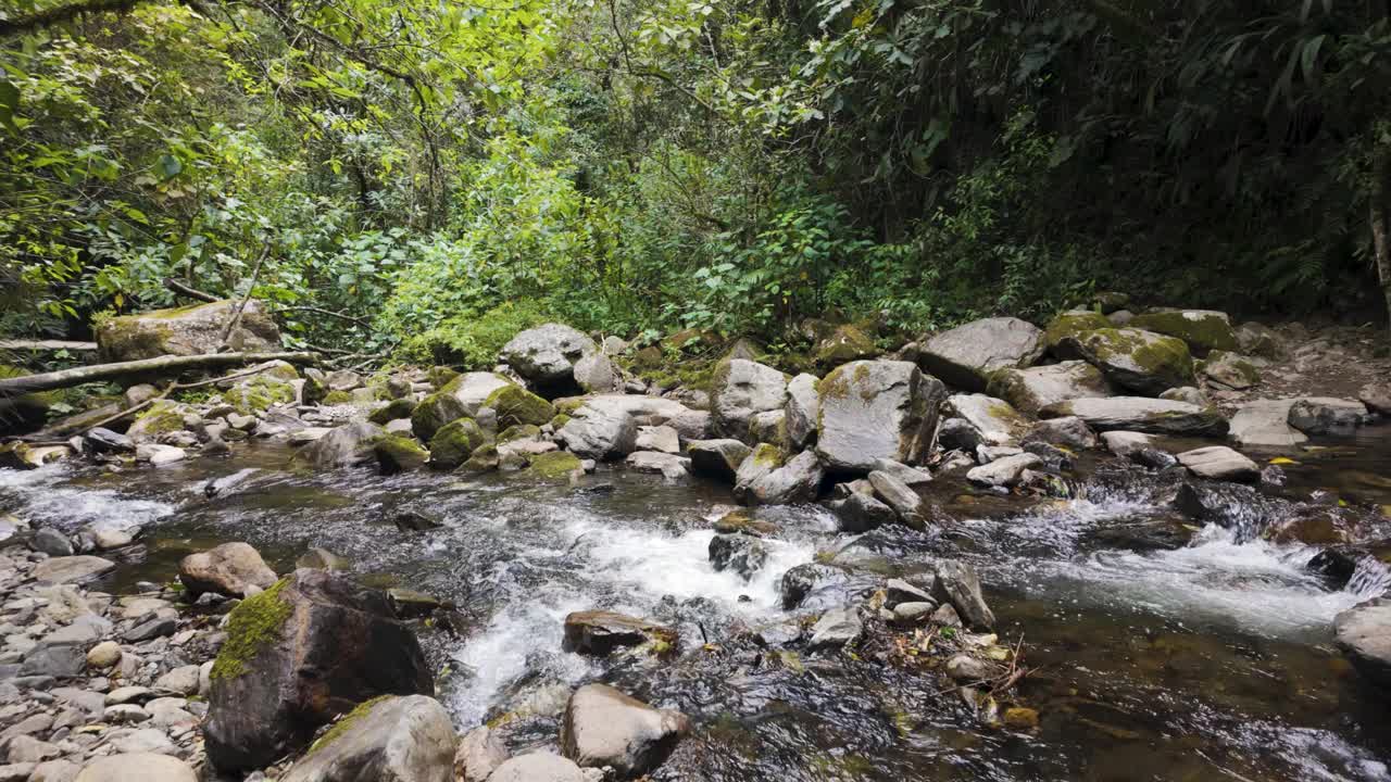 潘穿过热带河流，穿过被洪水淹没的巨石遍布的山谷，哥伦比亚的可可谷视频素材