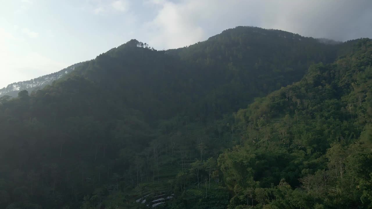 在多雾的天气从空中俯瞰山林的日出。视频素材