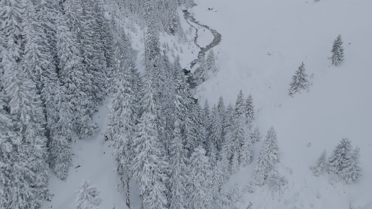 壮丽的冬季山景。冬日里的雪雨森林和阳光树。视频素材