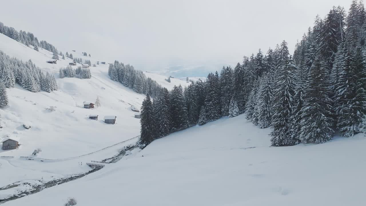 美丽的冬季山景。在阳光明媚的冬日，森林里有雪中的树木。雪林美景。视频素材