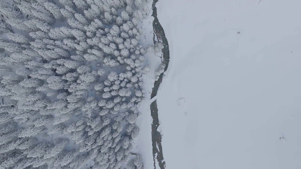 精美的山地冬季风光。冬日里白雪覆盖的森林和阳光照耀的树木。视频素材