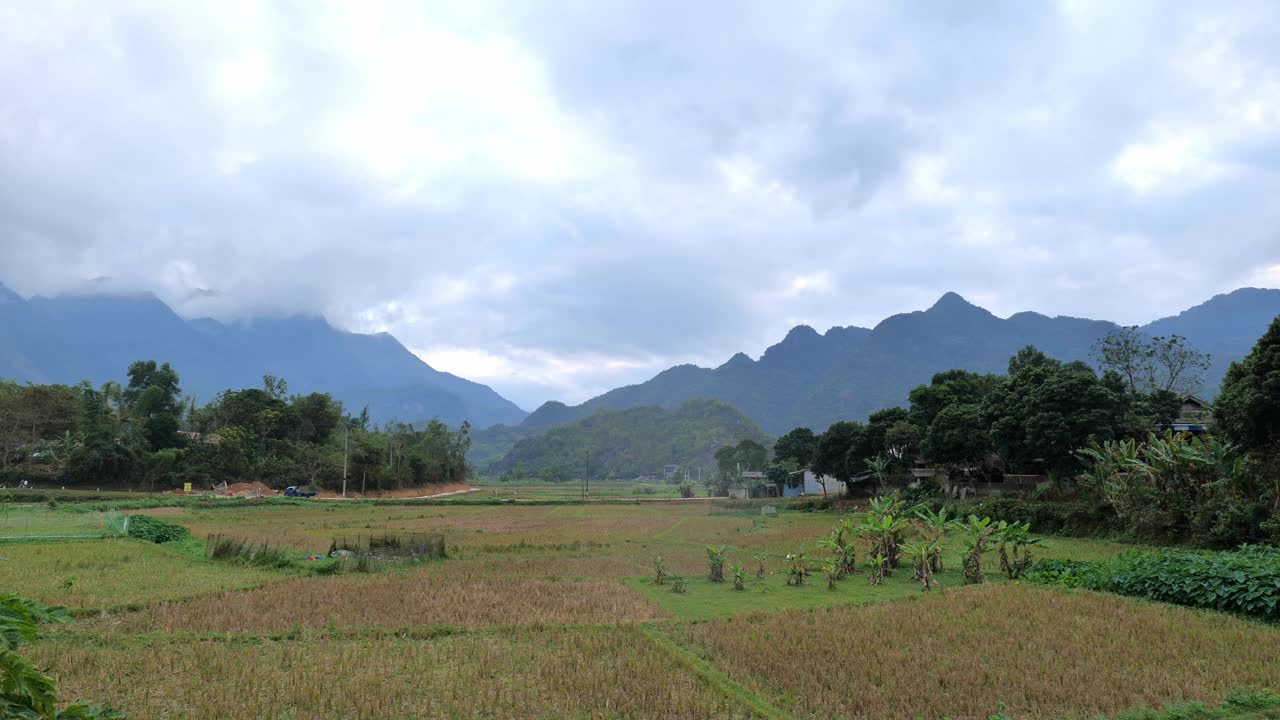 越南乡村景观中，麦洲乡村景观中有稻田视频下载