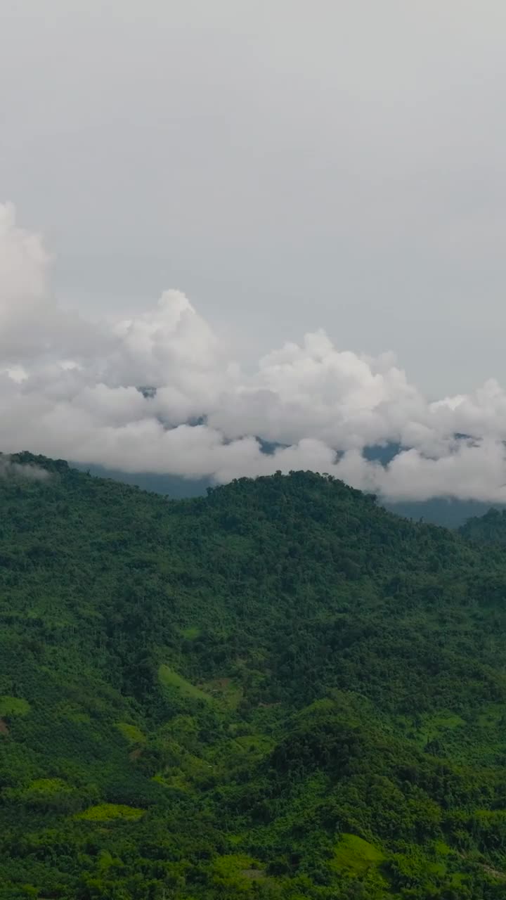 热带地区长满绿色植被和树木的山脉和丘陵。马来西亚婆罗洲,。视频素材