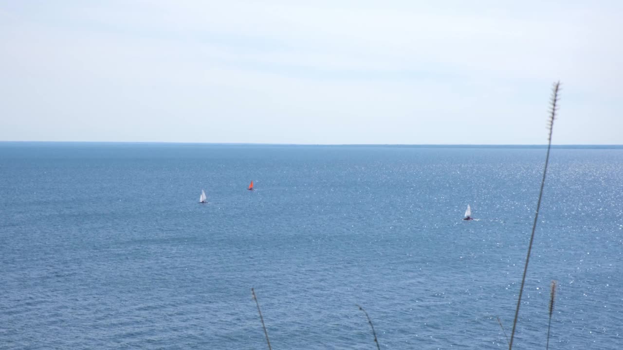 海景。在一个阳光明媚的夏日，一艘帆船独自驶过大海。航海。白帆双体船在公海上航行。赛舟会。在帆船上迎风移动的游艇之旅。视频素材