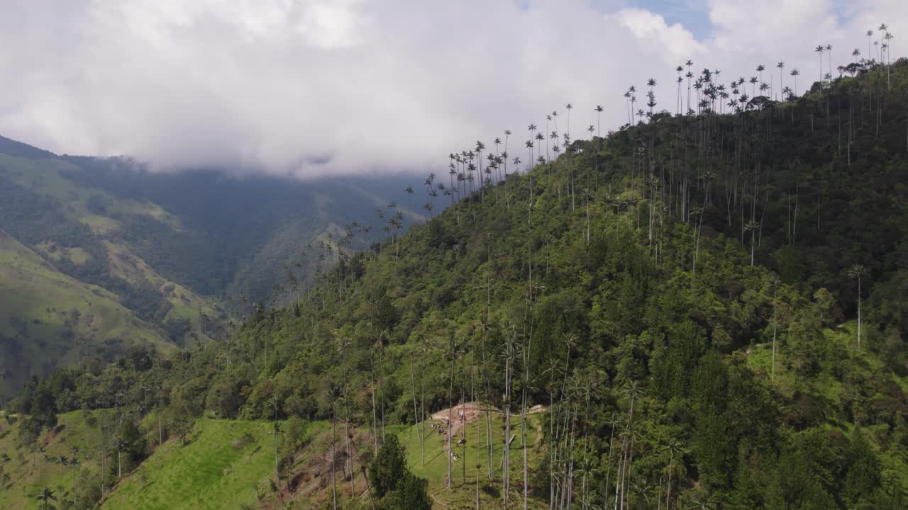 在哥伦比亚的可可谷，高高的椰子树在山脊线之上的全景视频素材