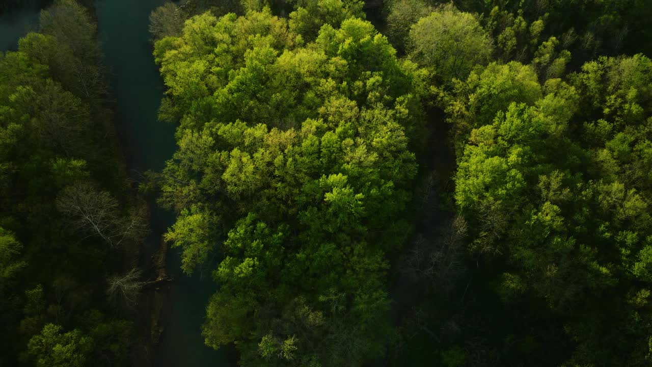 鸟瞰图，阿肯色州红杉湖周围郁郁葱葱的绿色植物，湖水贯穿其中视频素材