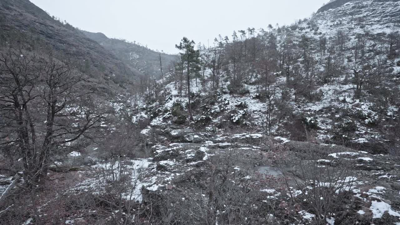 雪轻轻地落在宁静的森林里，岩石地形上有雪的灰尘，唤起了宁静视频素材