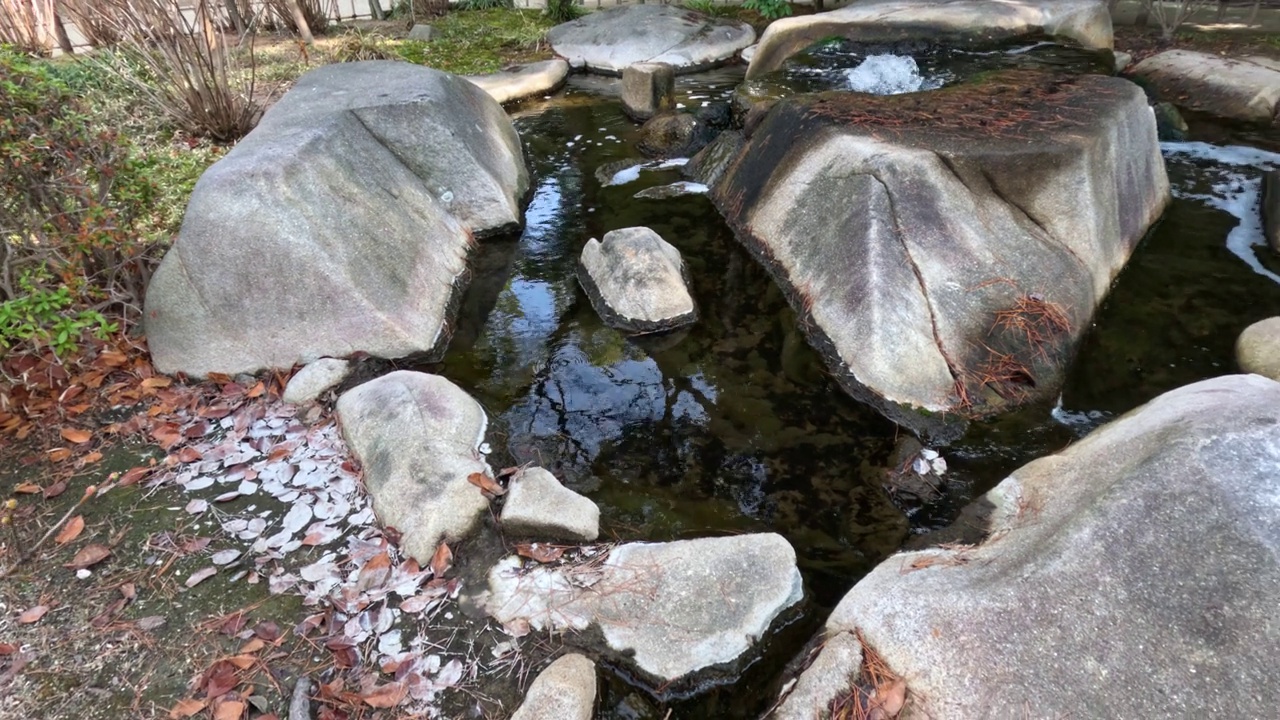 流过岩石的宁静溪流视频素材