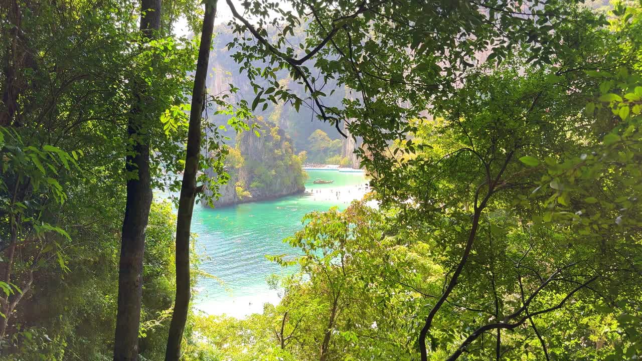 从香港岛观景台欣赏安达曼海的美景，周围环绕着大自然视频素材