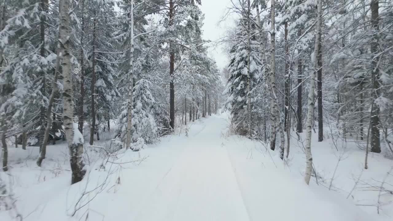 冬天森林里被雪覆盖的树-无人机前进视频素材