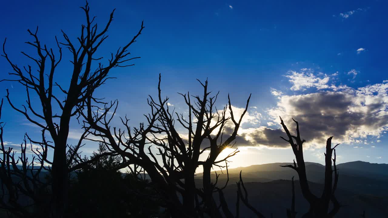 剪影树平顶山时间流逝视频素材