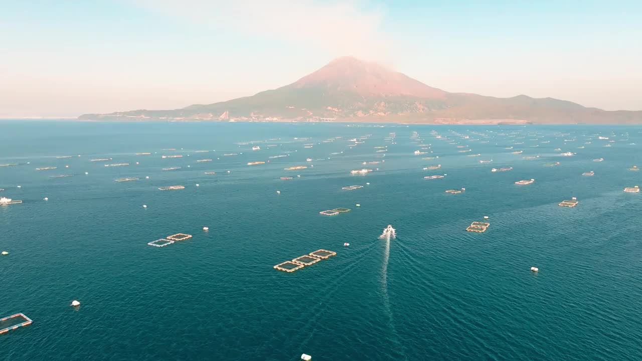 鸟瞰图，一艘渔船在鹿儿岛湾的蓝色海水和鱼笼之间驶向樱岛火山视频素材