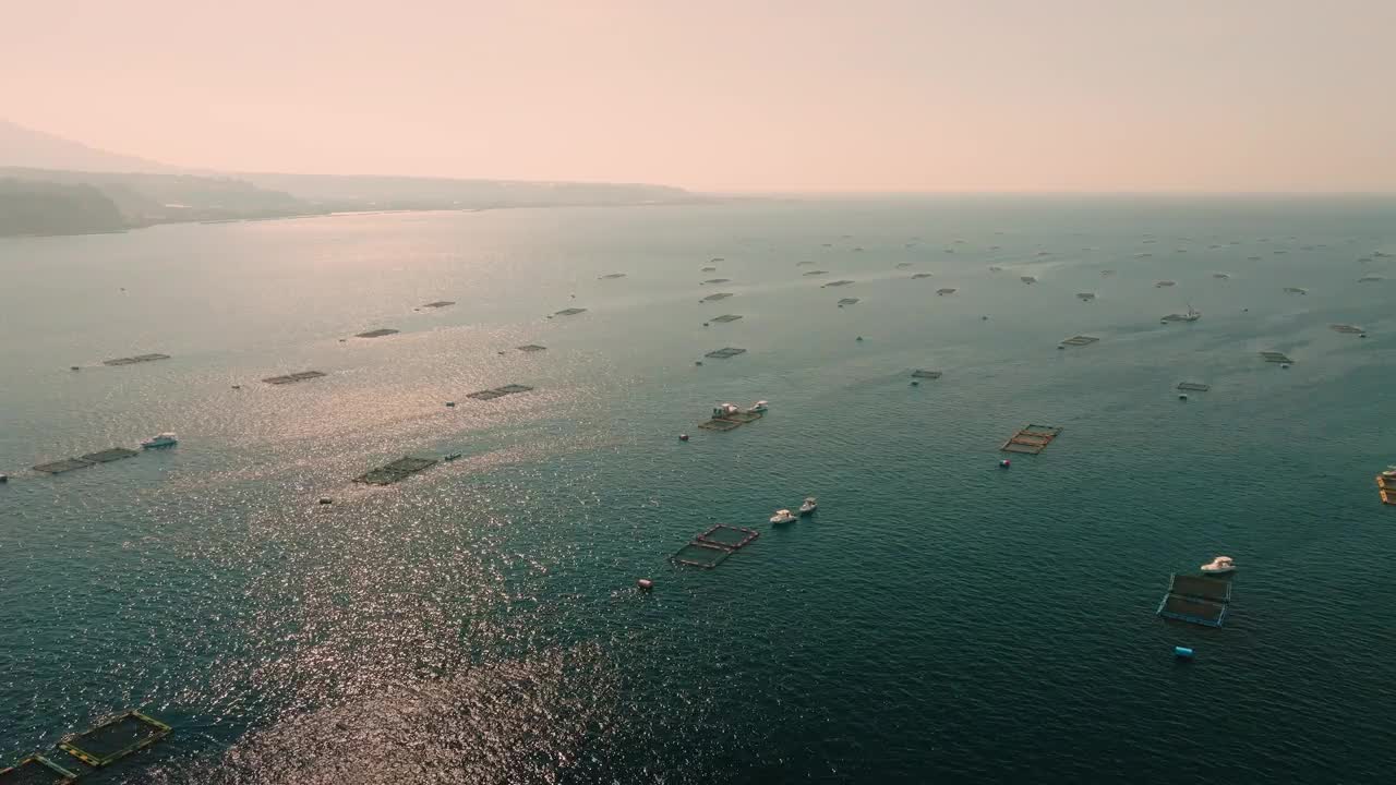 鸟瞰图许多养鱼场建立在蓝色的海水鹿儿岛湾在一个阳光明媚的日子视频素材