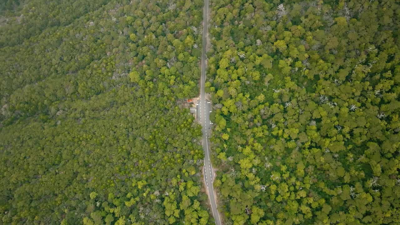 鸟瞰图，一条道路穿过茂密的森林，汽车穿过森林，还有一个停车场视频下载