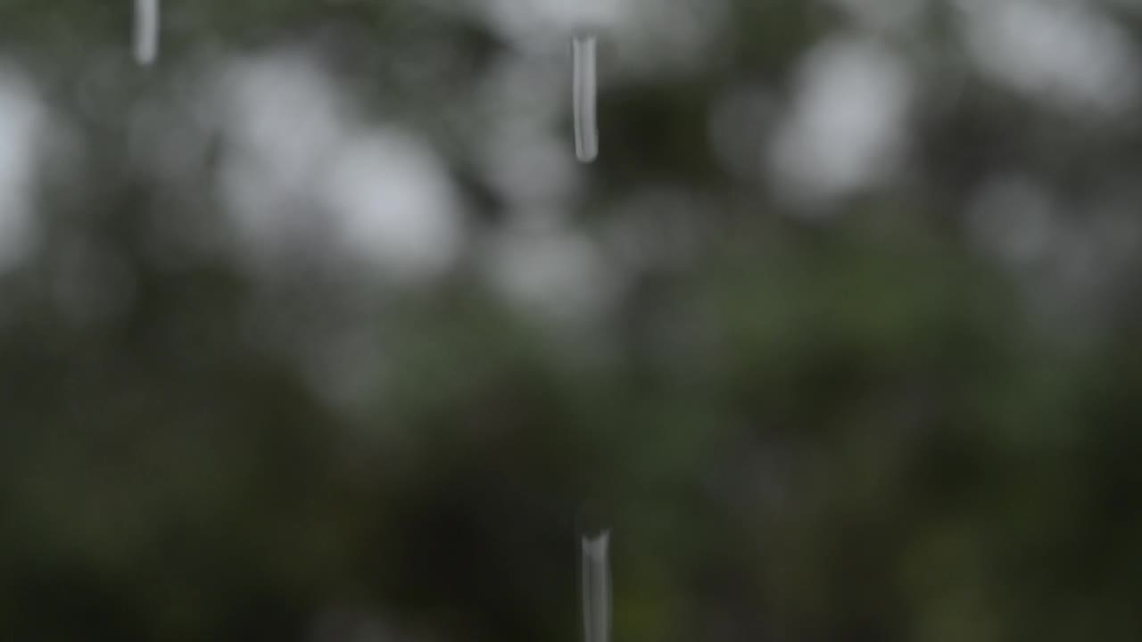 夏雨视频下载