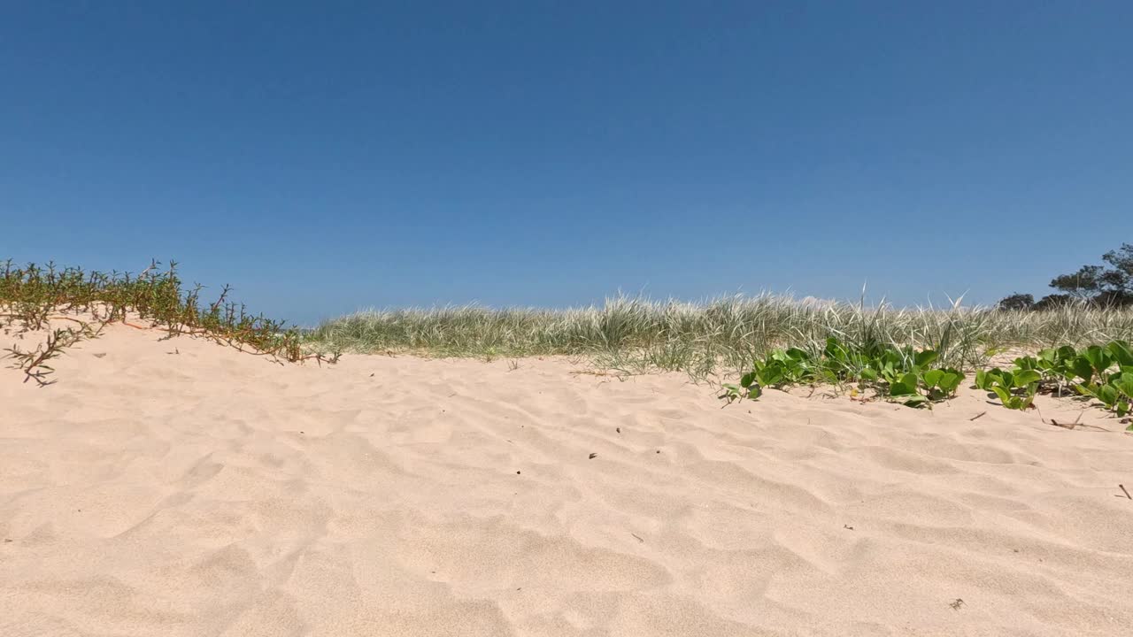 海滨沙丘步行到海景视频素材