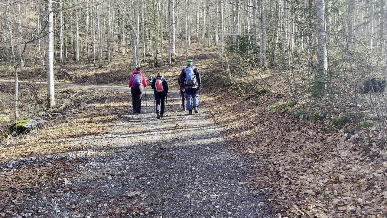 老年人在森林道路上徒步旅行视频素材