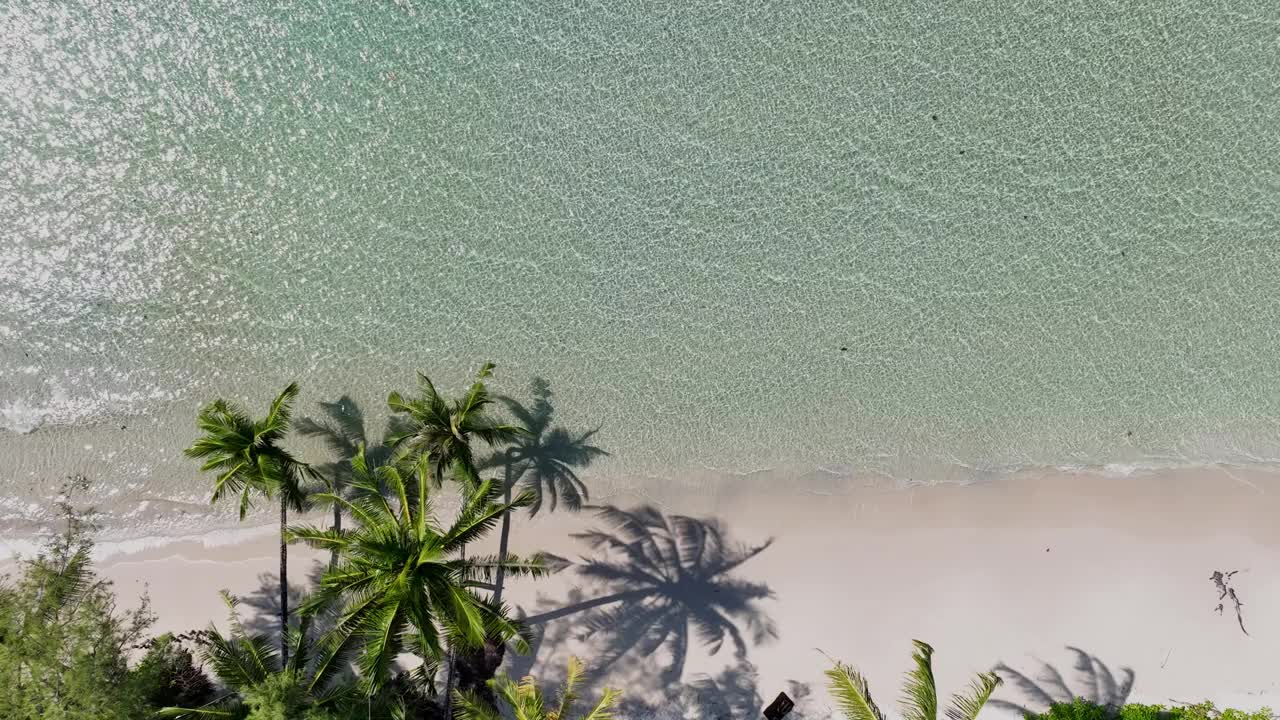 夏日棕榈树和热带海滩，蓝色的海滨背景视频素材