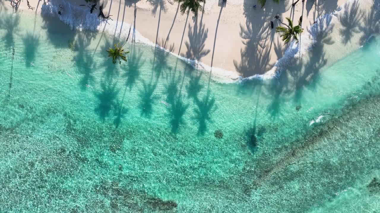 夏日棕榈树和热带海滩，蓝色的海滨背景视频素材