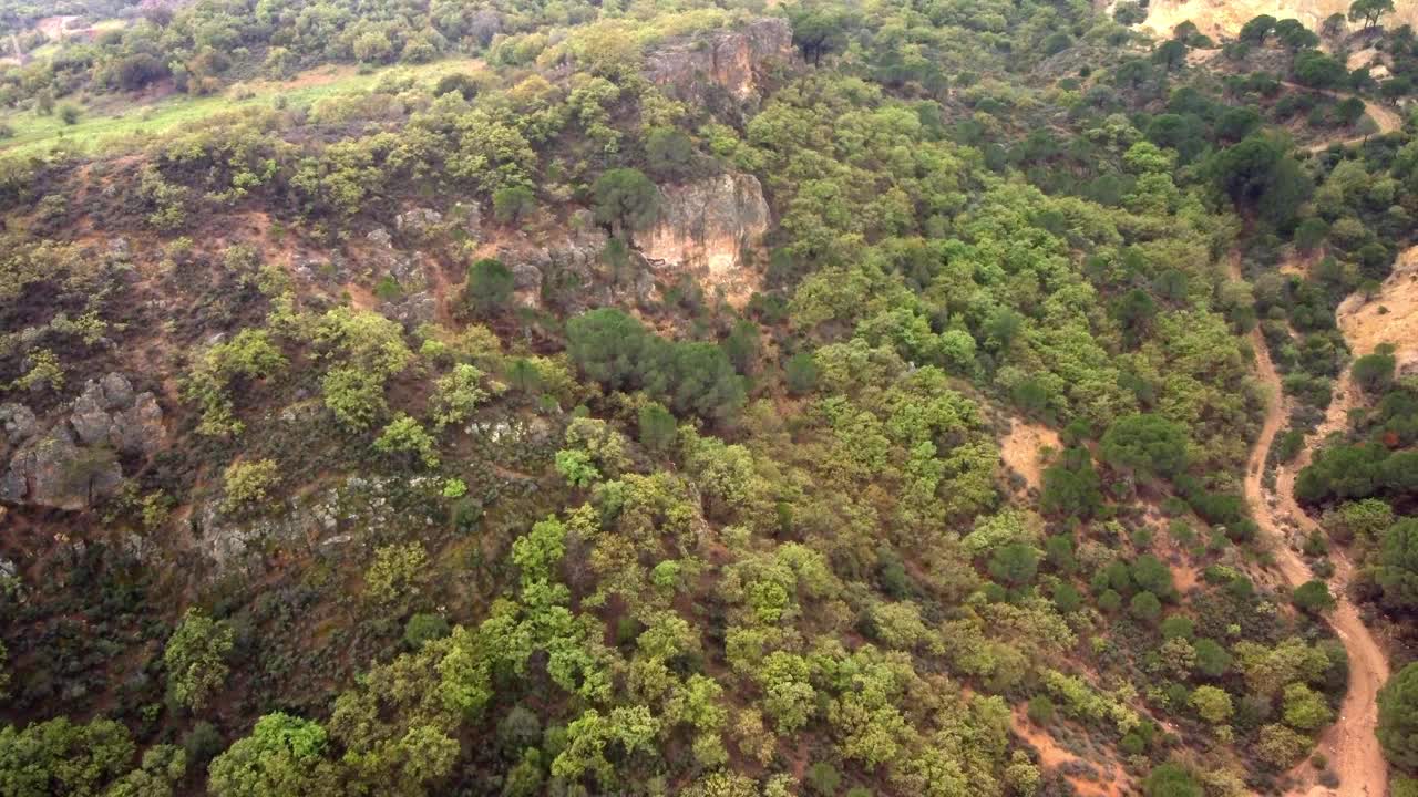 丘陵地带茂密森林的鸟瞰图视频素材