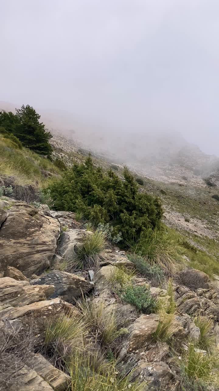 雷雨天，前往马洛马峰徒步途中的雾和云视频素材