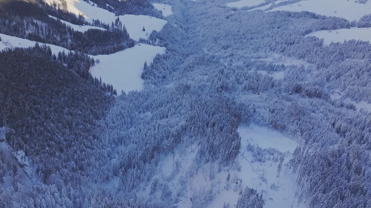 鸟瞰图显示冰雪森林。视频素材