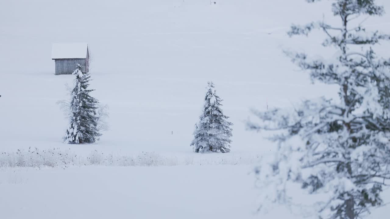 山峰间雄伟的冬季景观。冬日光辉中的雪漂森林和阳光照耀的树木。视频素材