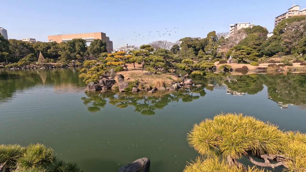 宁静的池塘全景随着时间的推移视频素材