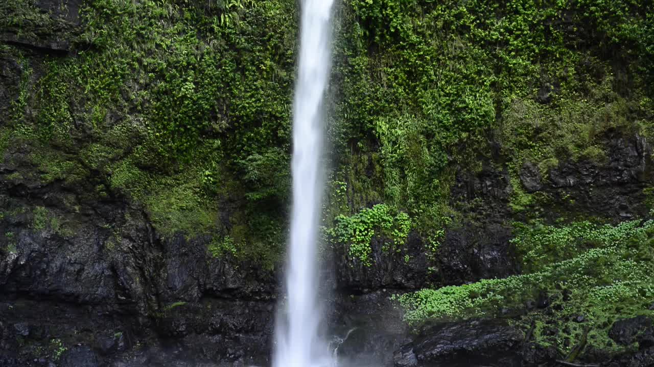 南罗亚瀑布远北热带昆士兰州视频下载